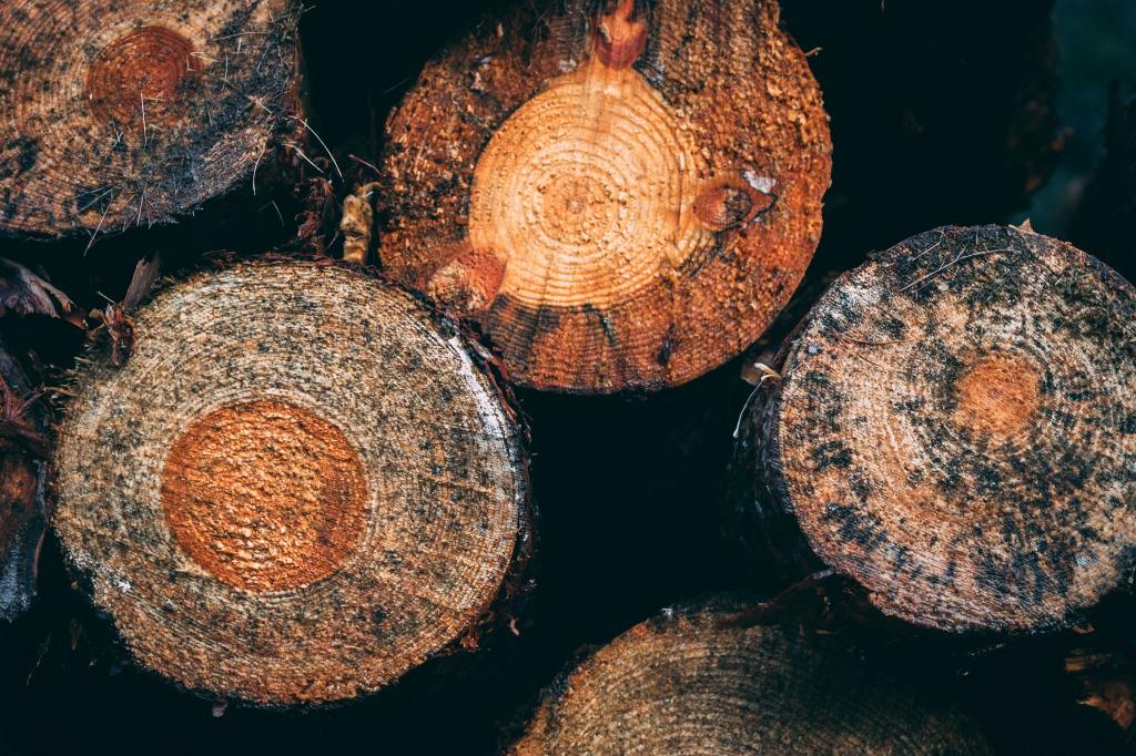 Measuring line-of-sight shear with Einstein&nbsp;rings